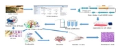 Iran J Pharm Res